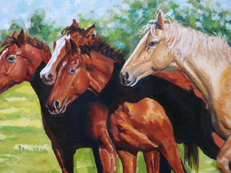 Horses