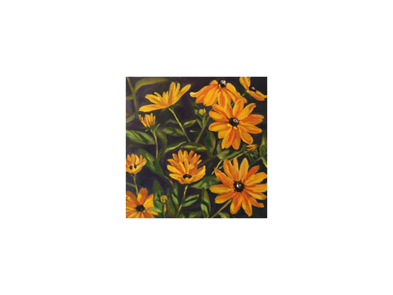 Rudbeckia