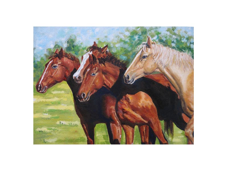 Horses